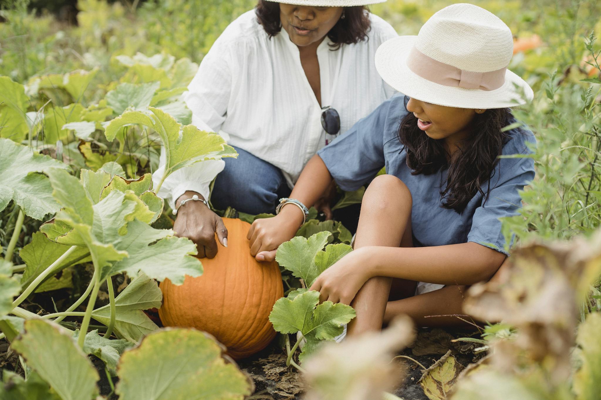 Mother and daughter harvesting pumpkins in a lush autumn garden setting.